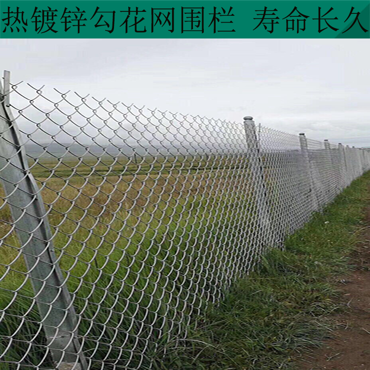 運城勾花網(wǎng)隔離網(wǎng)圖片2